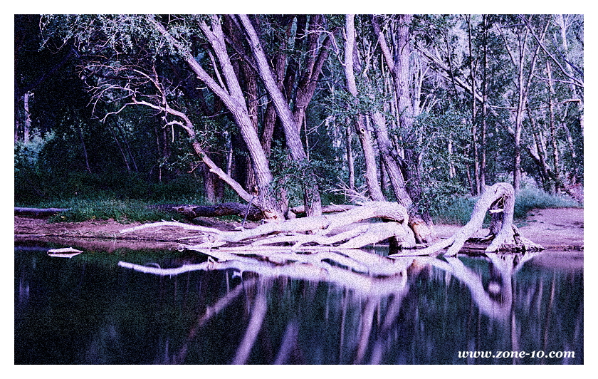 p6-19-800